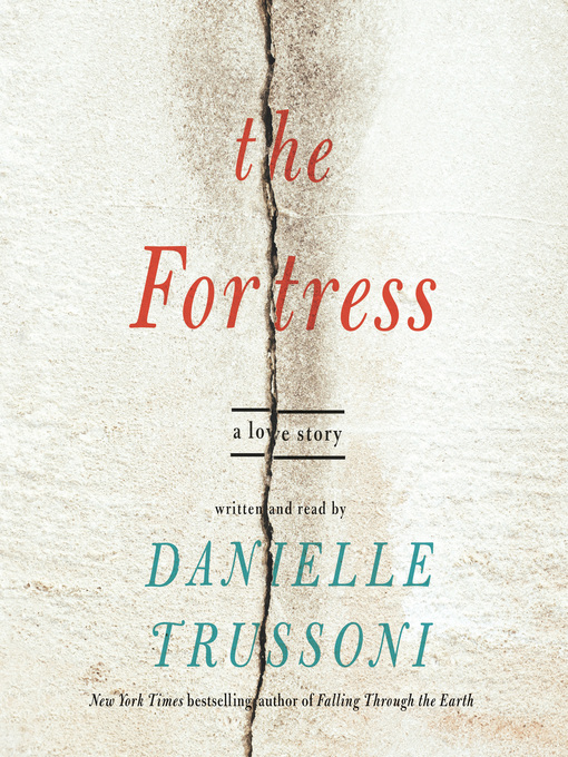 Cover image for The Fortress